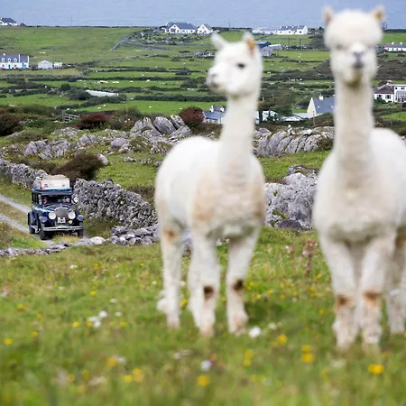 بيت للعطل Fanore