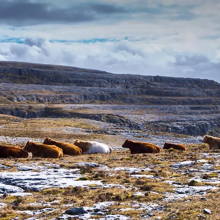 Semesterbostad Fanore *