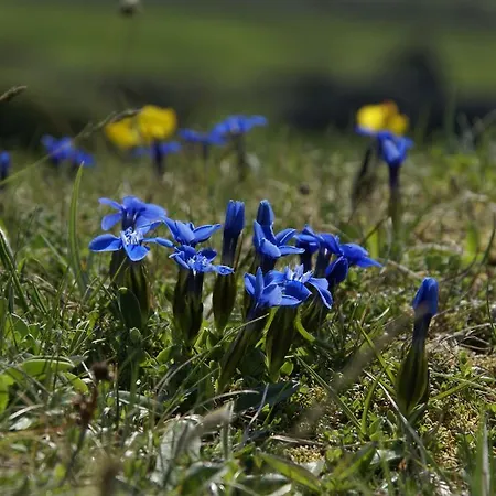 بيت للعطل Fanore